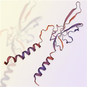 LY6G6D重组蛋白，ACROBiosystems百普赛斯