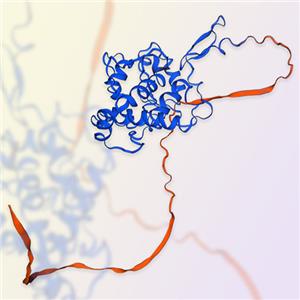 SPARC蛋白-ACROBiosystems百普赛斯