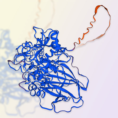 葡糖苷酰鞘氨醇酶,Glucosylceramidase