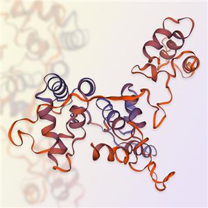 GFR alpha-like，ACROBiosystems百普赛斯