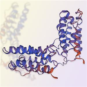 白介素10/IL-10重组蛋白，ACROBiosystems百普赛斯