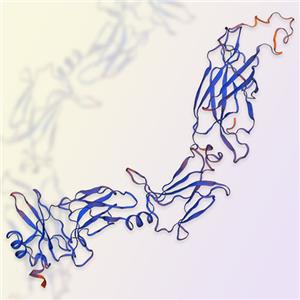 IL-17RC重组蛋白-ACROBiosystems百普赛斯