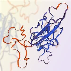 IL-22BP/IL-22RA2蛋白-ACROBiosystems百普赛斯