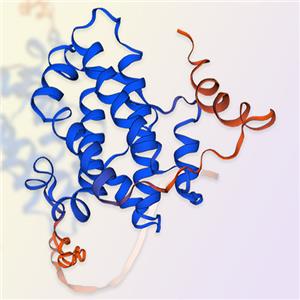 IL-34蛋白-ACROBiosystems百普賽斯