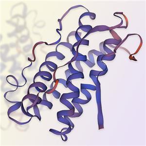 LIF重组蛋白-ACROBiosystems百普赛斯