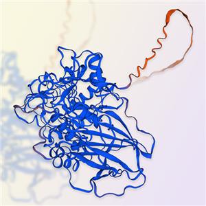 葡糖苷酰鞘氨醇酶Glucosylceramidase-ACROBiosystems百普赛斯