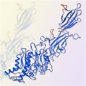 PADI4蛋白-ACROBiosystems百普赛斯