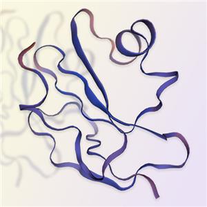 CD59蛋白-ACROBiosystems百普赛斯