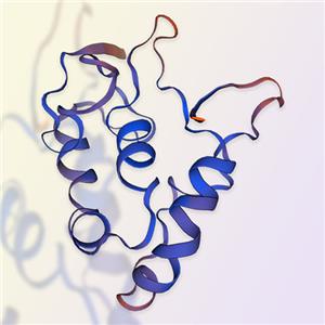 FZD7/Frizzled-7蛋白-ACROBiosystems百普赛斯