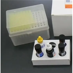 大鼠谷氨酸脱羧酶(GAD)ELISA试剂盒