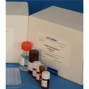 大鼠白细胞介素19(IL-19)ELISA试剂盒