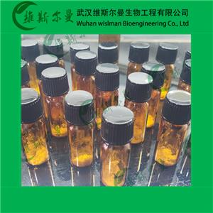 硫酸博萊霉素,Bleomycin Sulfate