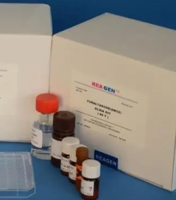小鼠凝聚素(CLU)ELISA试剂盒