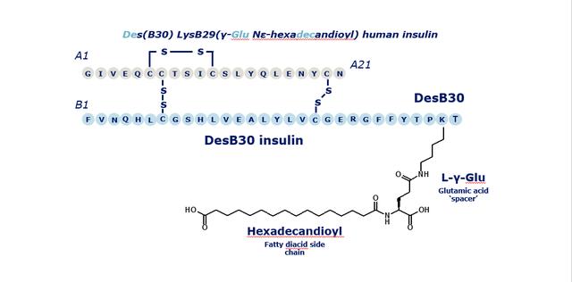 德谷胰島素/德古胰島素,Insulin Degludec/ Degludec Insulin