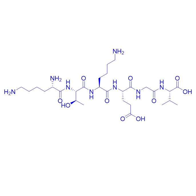 神经元特异性突触前膜蛋白多肽32-37,α-Synuclein (32-37) (human)