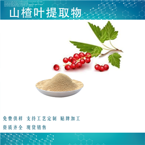 山楂叶提取物 多糖,Hawthorn Leaf Extract