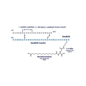 德谷胰島素/德古胰島素,Insulin Degludec/ Degludec Insulin