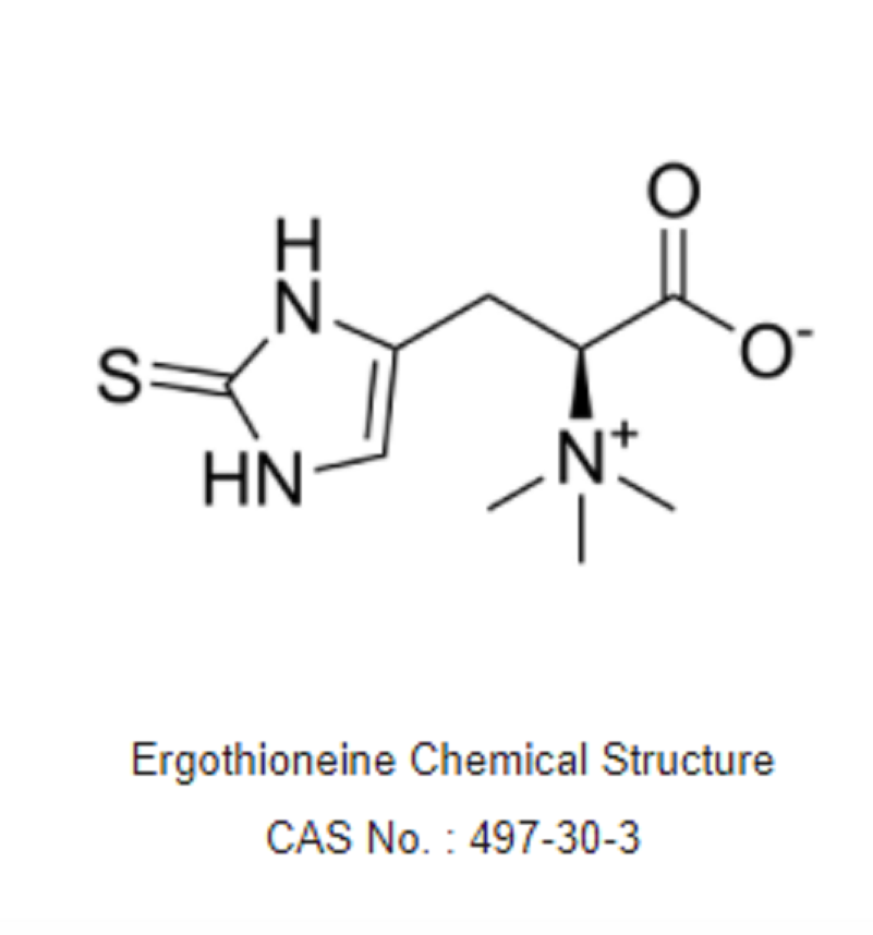 麥角硫因,Ergothioneine