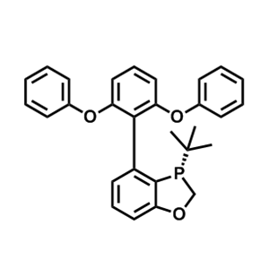 (S)-3-(叔丁基)-4-(2,6-二苯氧基苯基)-2,3-二氢苯并[d][1,3]氧磷杂环戊二烯