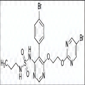 馬昔騰坦