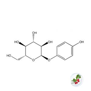 α-熊果苷,alpha-Arbutin