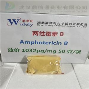 兩性霉素 B,Amphotericin B