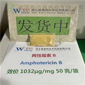 兩性霉素 B,Amphotericin B