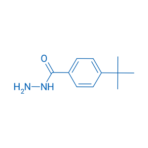 对叔丁基苯甲酰肼,4-(tert-Butyl)benzohydrazide