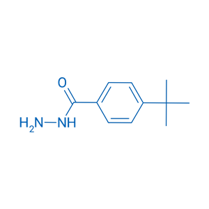 对叔丁基苯甲酰肼