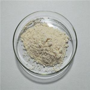 3-硝基邻苯二甲酰肼,3-Nitrophthalhydrazide