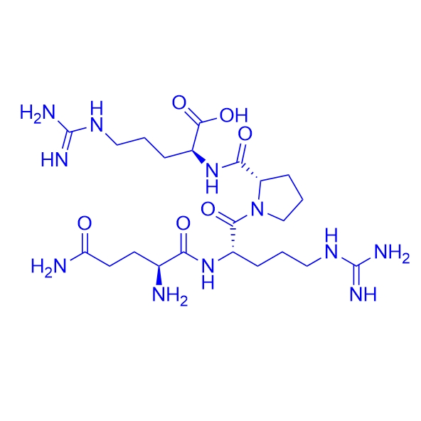 自噬激動劑多肽Soybean peptide QRPR,Soybean peptide QRPR