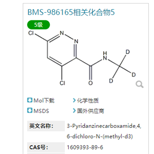 4,6-二氯-N-(甲基-d3)-3-哒嗪甲酰胺