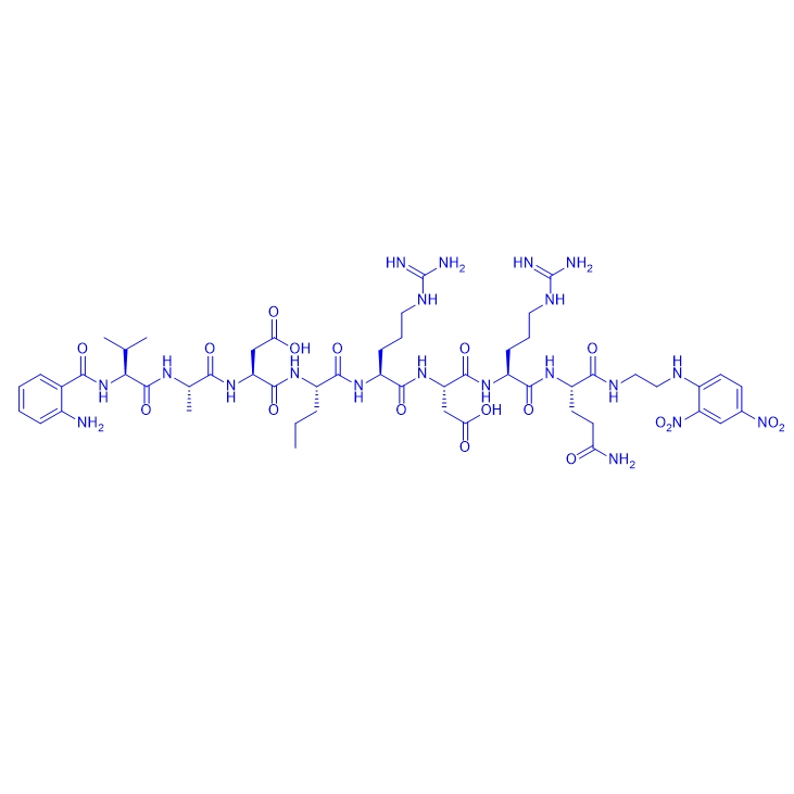 人類蛋白酶 3的熒光猝滅肽底物多肽,Abz-Val-Ala-Asp-Nva-Arg-Asp-Arg-Gln-EDDnp