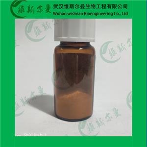 艾普拉唑,Ilaprazole