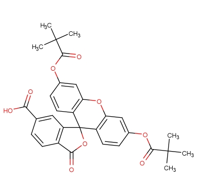 6-羧基荧光素二特戊酸酯,6-Carboxyfluorescein Dipivalate