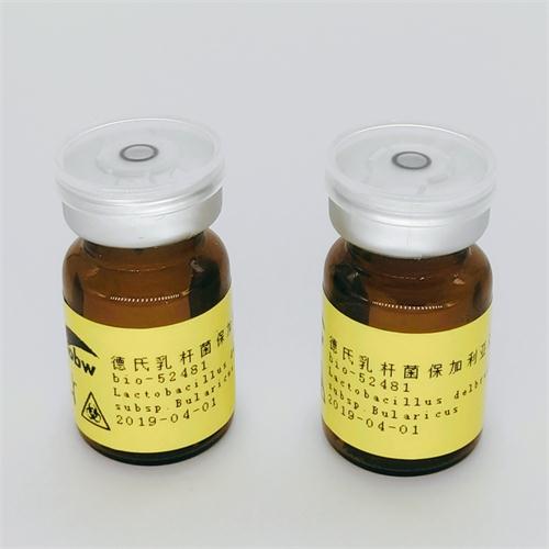 KCTC 3150 食淀粉乳杆菌,Lactobacillus Amylovorus