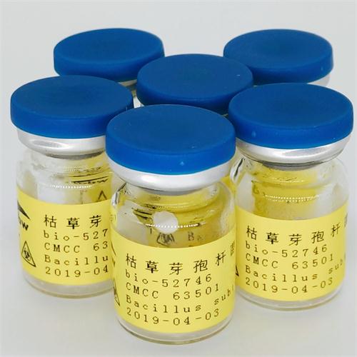 ATCC 49753 貪婪丙酸桿菌,Propionibacterium Avidum