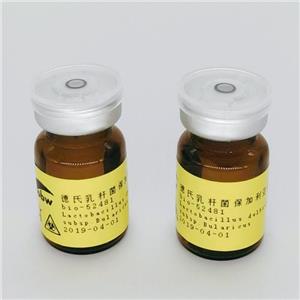 KCTC 3150 食淀粉乳杆菌,Lactobacillus Amylovorus