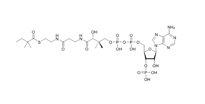 2,2-二甲基丁酰辅酶A（钠盐）,2,2-dimethyl-butyryl-CoA (sodium salt)