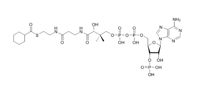 环己酰辅酶A（钠盐）,Cyclohexanoyl-CoA-sodium-salt