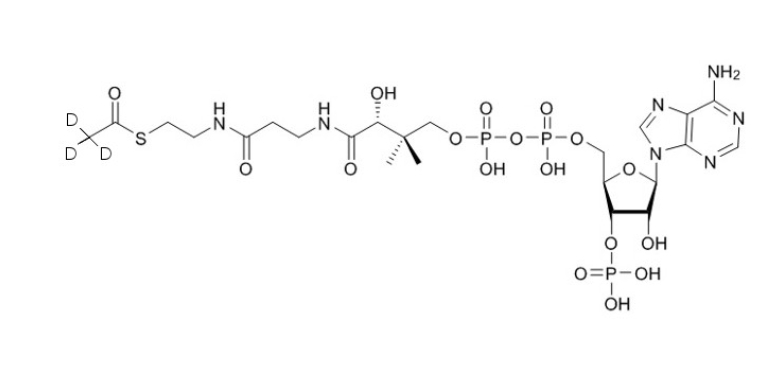 D3-乙酰辅酶A（钠盐）,D3-Acetyl-CoA-sodium-salt