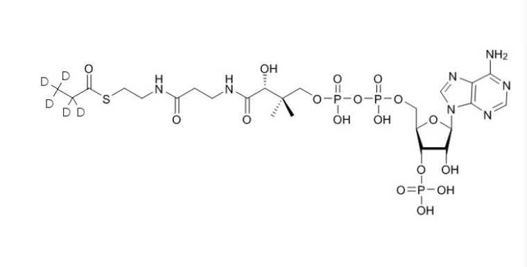 D5-丙酰輔酶A（鈉鹽）,D5-Propionyl-CoA-sodium-salt