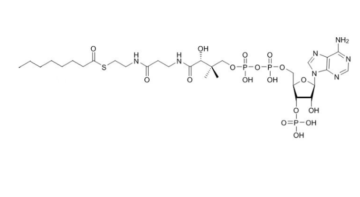 辛酰輔酶A（鈉鹽）,Octanoyl coenzyme A