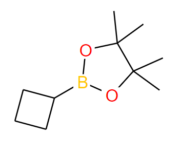 环丁基硼酸频哪醇酯,Cyclobutylboronic acid pinacol ester