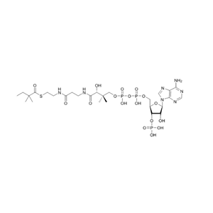 2,2-二甲基丁酰辅酶A（钠盐）,2,2-dimethyl-butyryl-CoA (sodium salt)