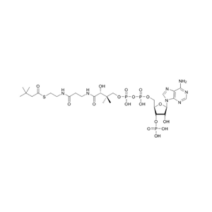 3,3-二甲基丁酰辅酶A  3-3-dimethyl-butyryl-CoA-sodium-salt