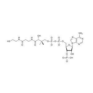 輔酶A（鋰鹽）Coenzyme A-lithium-salt 18439-24-2