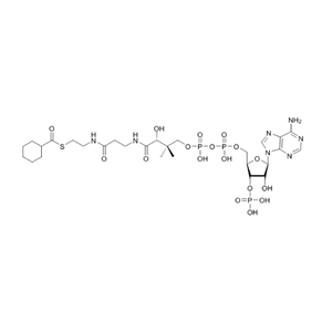 环己酰辅酶A（钠盐）,Cyclohexanoyl-CoA-sodium-salt