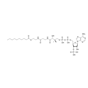 癸酰輔酶A（鈉鹽）Decanoyl coenzyme A 1264-57-9