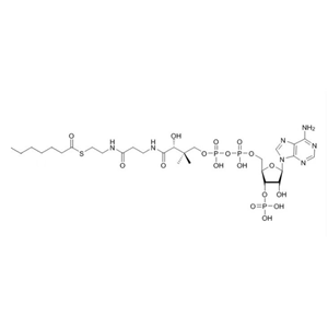 庚酰辅酶A（钠盐）Heptanoyl-CoA-sodium-salt